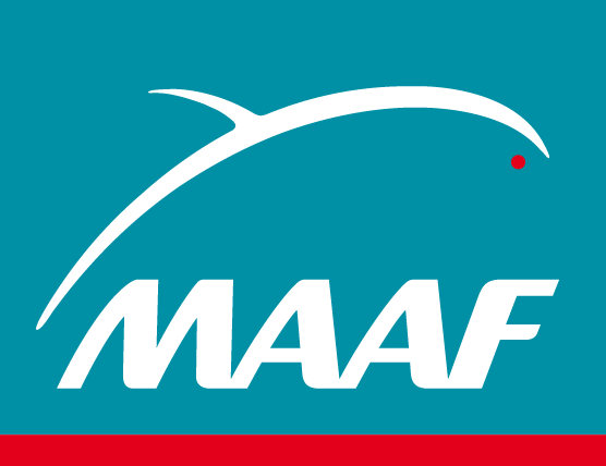 Logo maaf