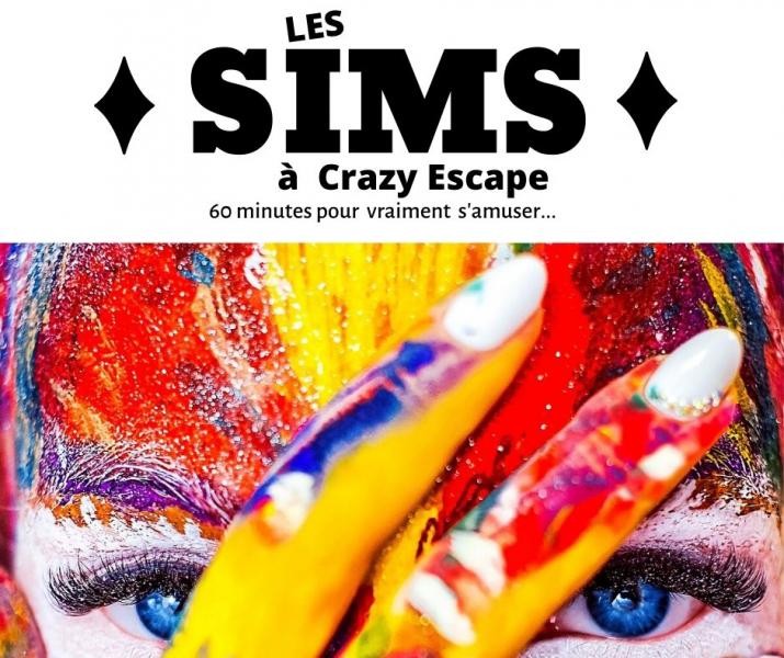 LES SIMS - CRAZY ESCAPE GAME